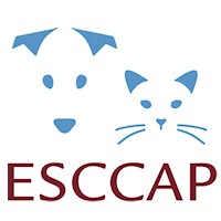 New ESCCAP Spain Website