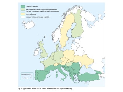 New canine leishmaniosis map